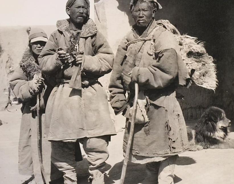 落久水利最新动态揭秘,全新消息汇总🌊💧