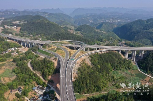 建恩高速最新消息,建恩高速最新消息，速度与激情中的学习与成长