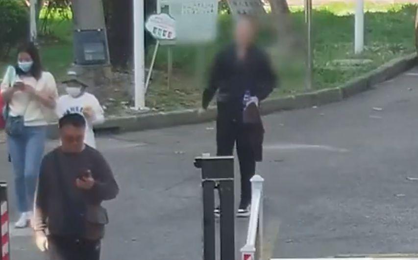 浦东家政最新招聘信息，自然美景中的内心平静之旅