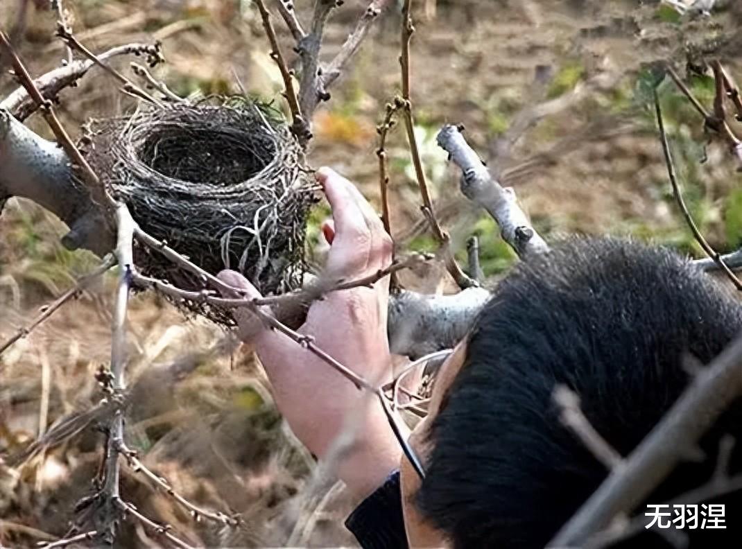老鸦窝最新地址揭秘与观点论述