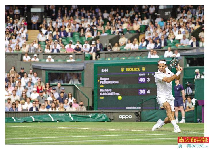 温网2024最新消息揭秘，网球场上的独特魅力与奇遇