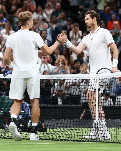 温网2024最新消息揭秘,网球场上的独特魅力与奇遇