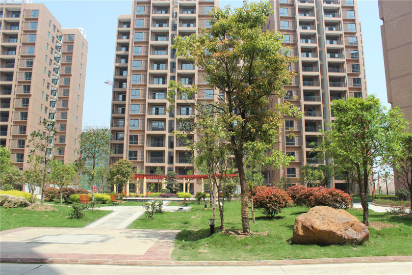 葛店绿茵小镇最新房价揭秘，小巷深处的惊喜发现