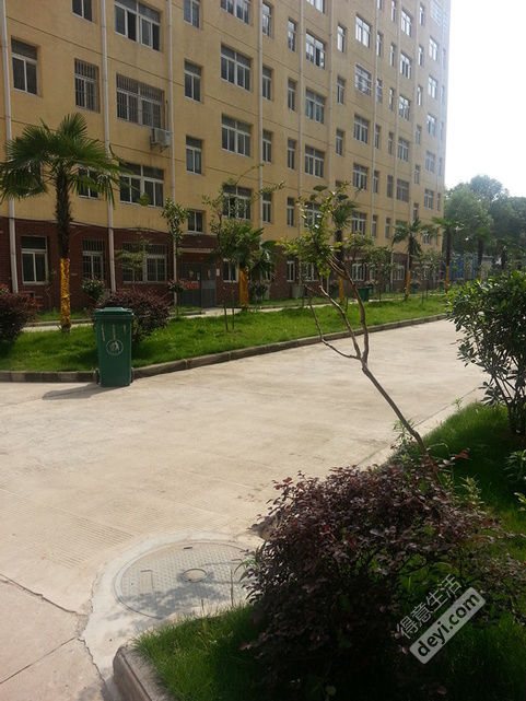 葛店绿茵小镇最新房价揭秘,小巷深处的惊喜发现