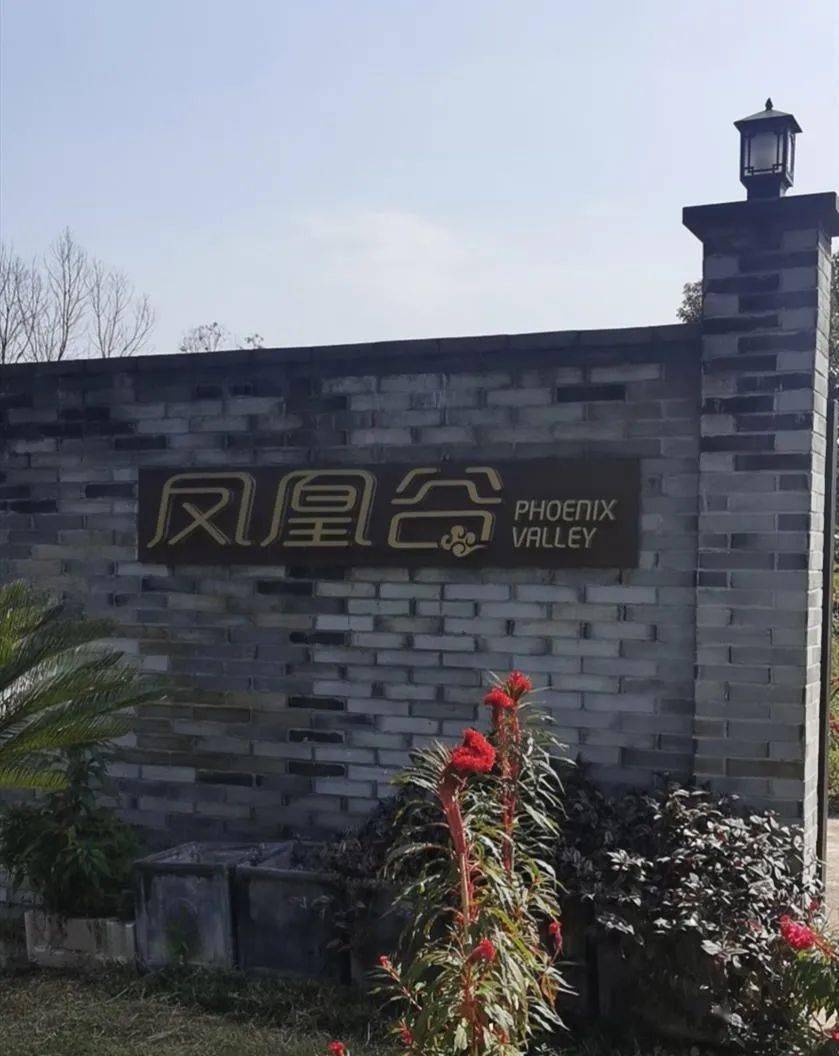 葛店绿茵小镇最新房价揭秘,小巷深处的惊喜发现