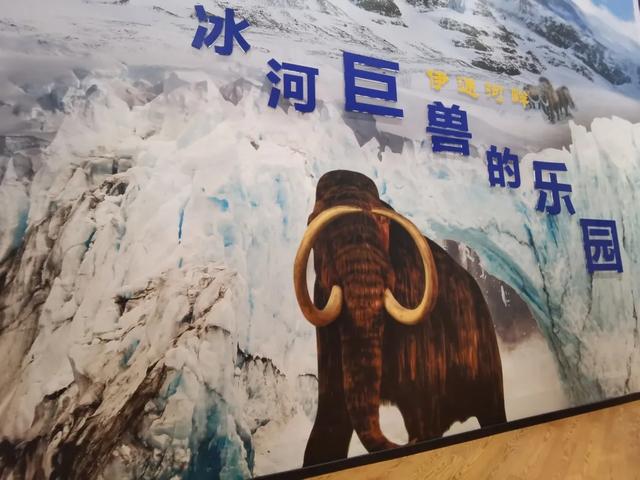 龙象谷最新动态，变化中的学习之旅，自信与成就感的培育地