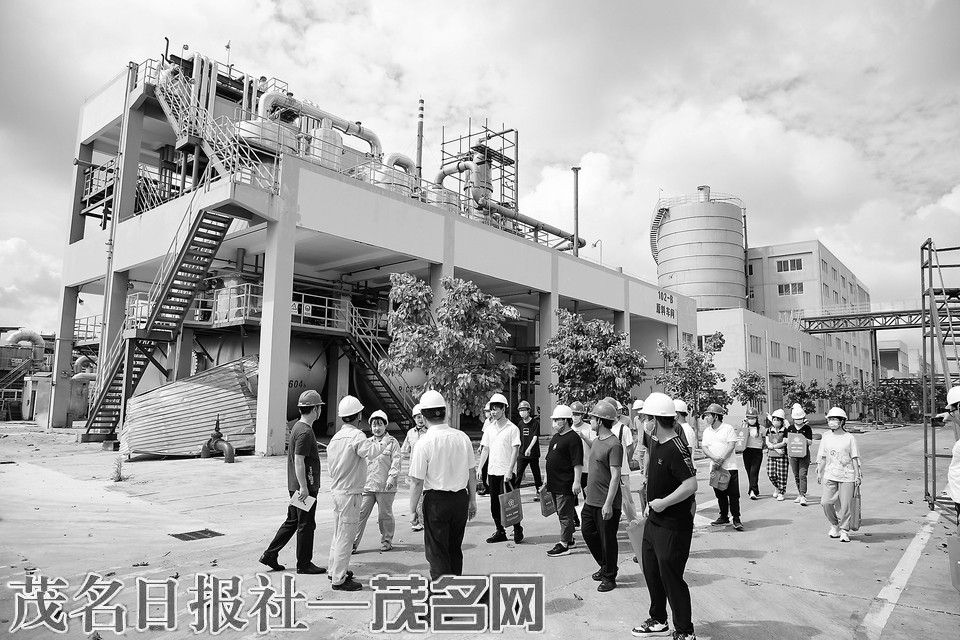 广东甘化最新动态更新📢绿色发展的步伐不停歇🌱
