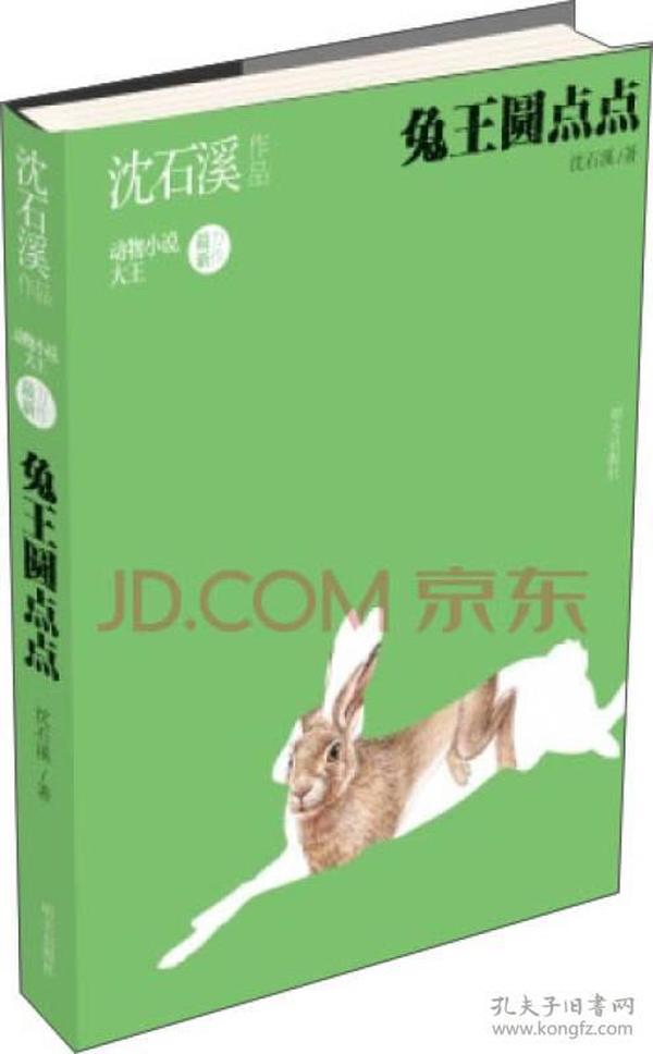 狗撵兔2024年最新故事,追逐与陪伴的温馨日常