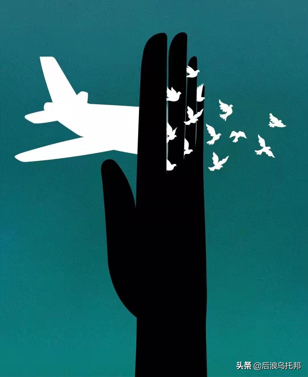 东航MU5735航班失事最新消息,关注与反思空难真相的探寻之路