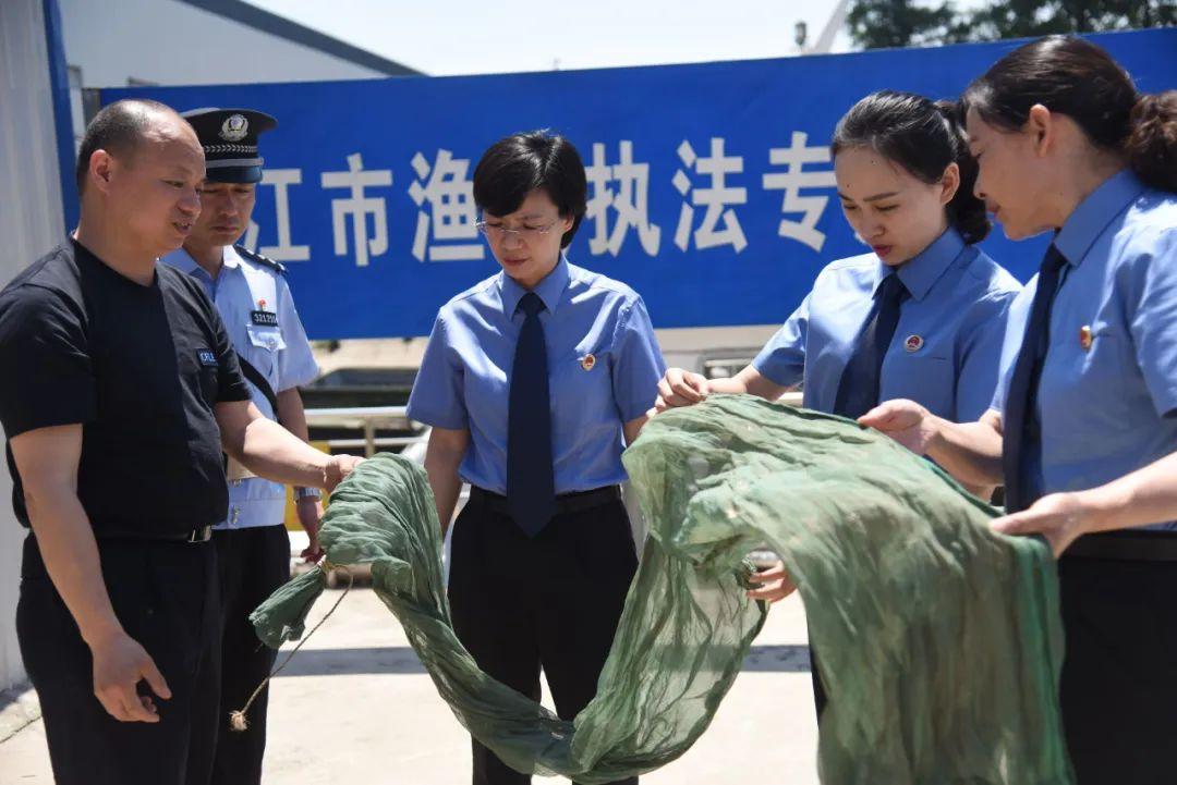 革新捕捞技术，捕鳗鱼苗最新发明引领行业革新篇章