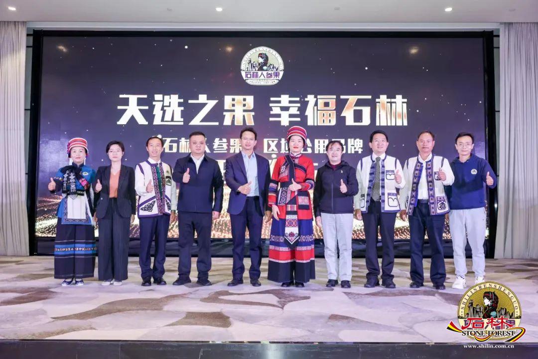 石海林最新消息概述