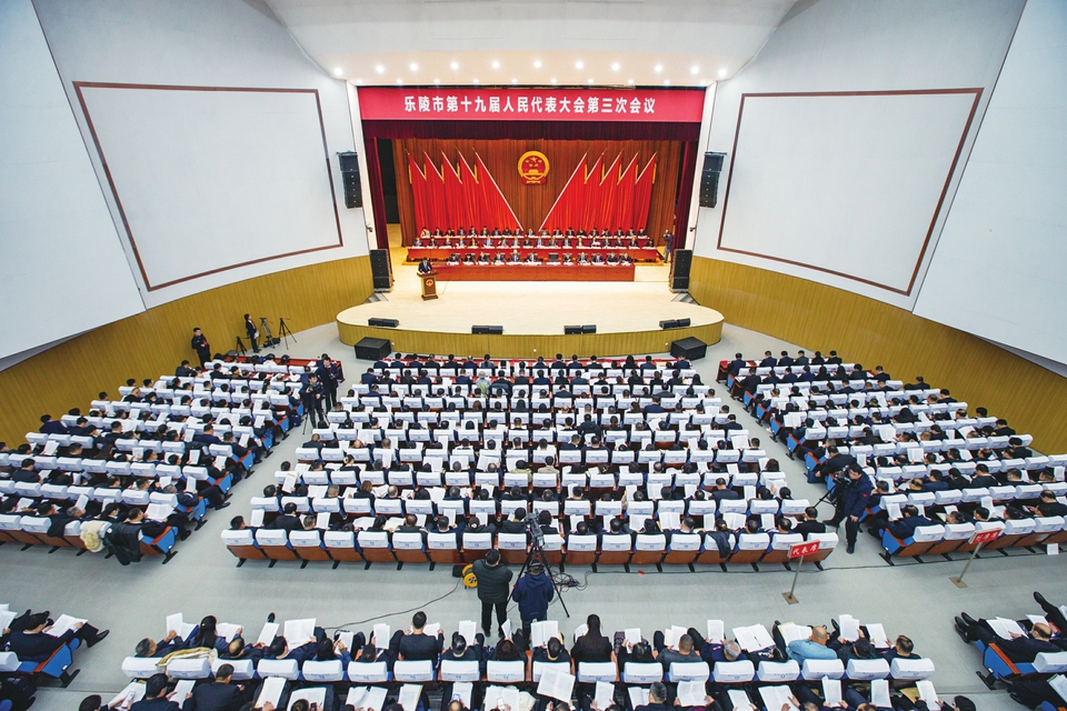 山东乐陵新闻最新动态更新