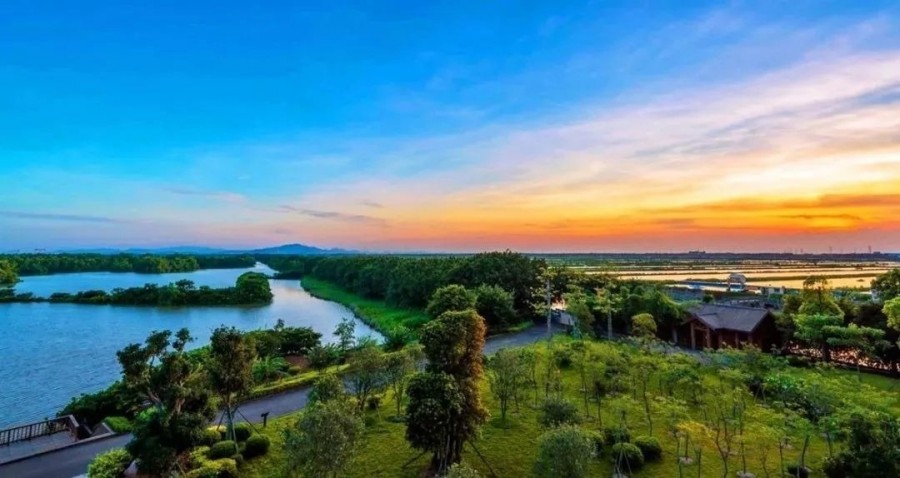 深圳白花社区最新动态,自然美景探索之旅,寻找内心平和的旅程