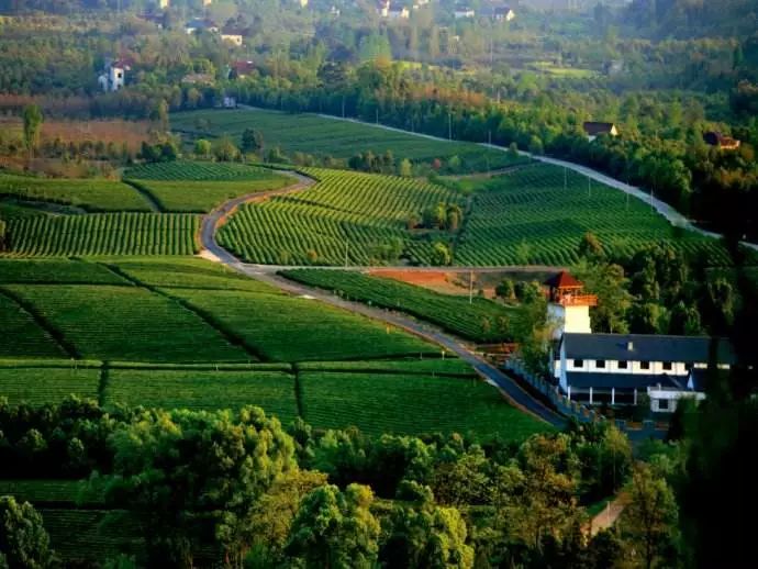 深圳白花社区最新动态，自然美景探索之旅，寻找内心平和的旅程