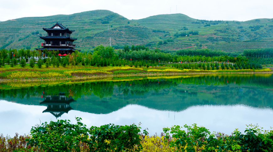 深圳白花社区最新动态,自然美景探索之旅,寻找内心平和的旅程