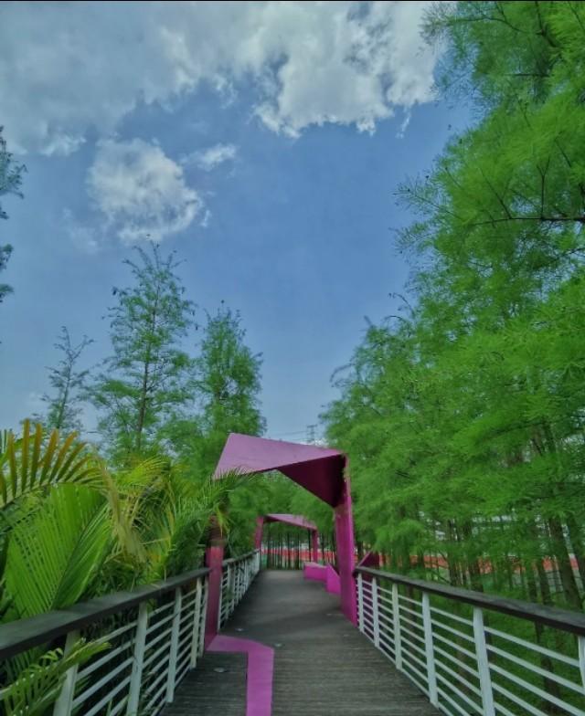 外省人员进入广州最新规定,绿色之旅,寻求内心平静的开始