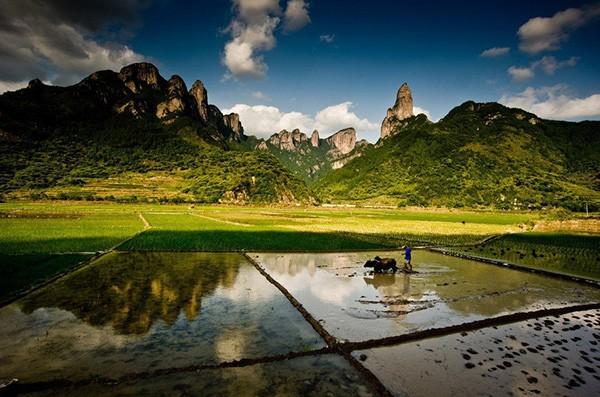 扬农搬迁最新动态,探索自然美景的轻松之旅