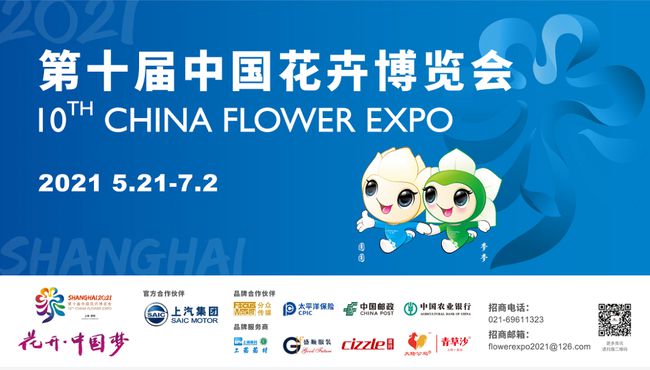 定颖电子最新招聘信息,温馨求职之旅启程!