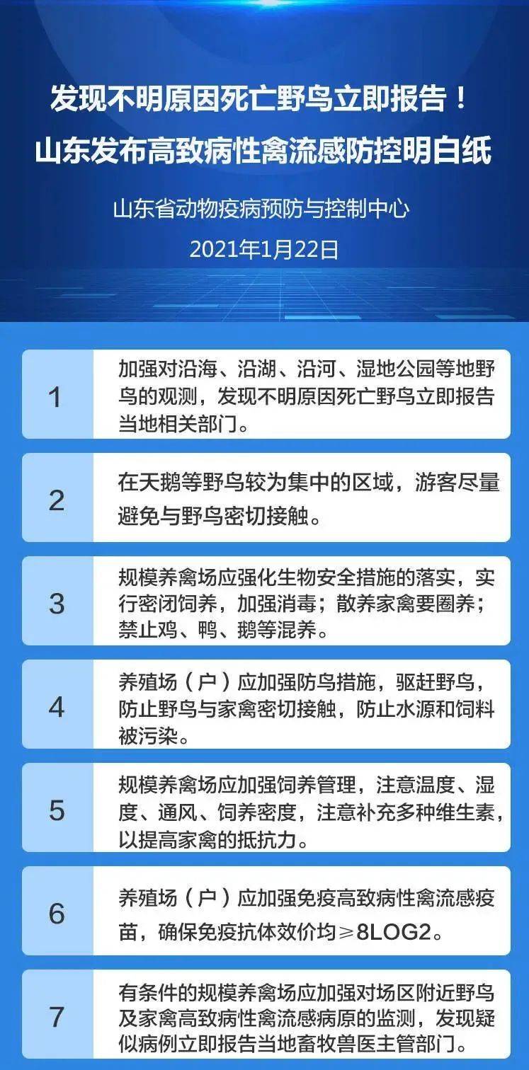 蚌埠禽流感最新动态,防控进展及公众关注焦点