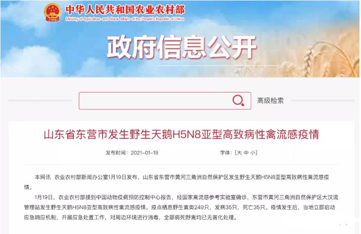蚌埠禽流感最新动态,防控进展及公众关注焦点