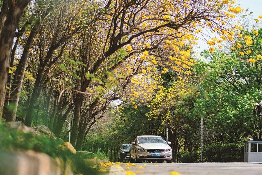 惠州电影院最新上映电影探秘,小巷深处的电影宝藏