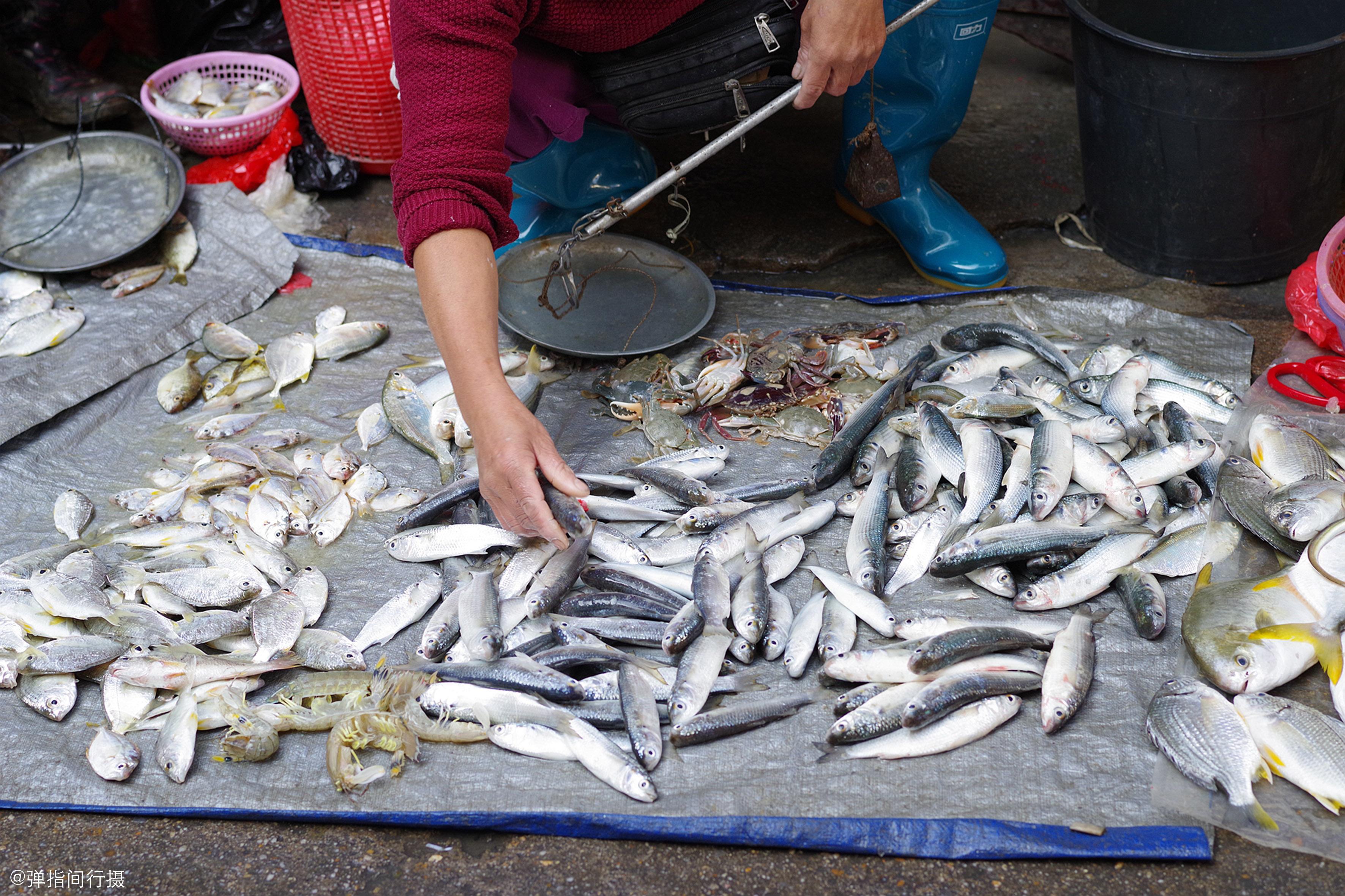 惠州电影院最新上映电影探秘,小巷深处的电影宝藏