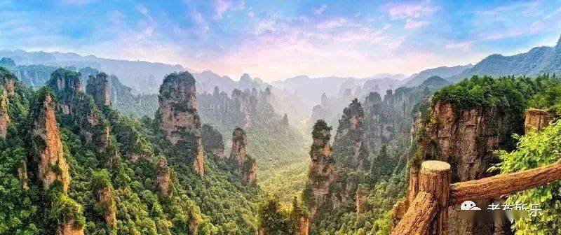 奇式网盾最新版,自然美景的心灵之旅