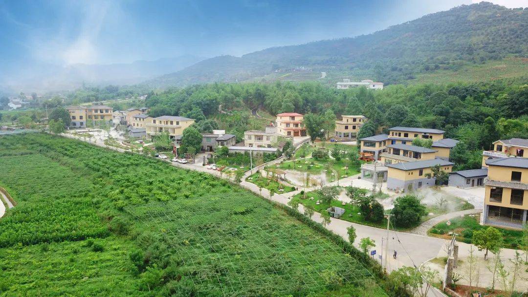 天府新区永兴小镇的最新动态,温馨日常的持续更新