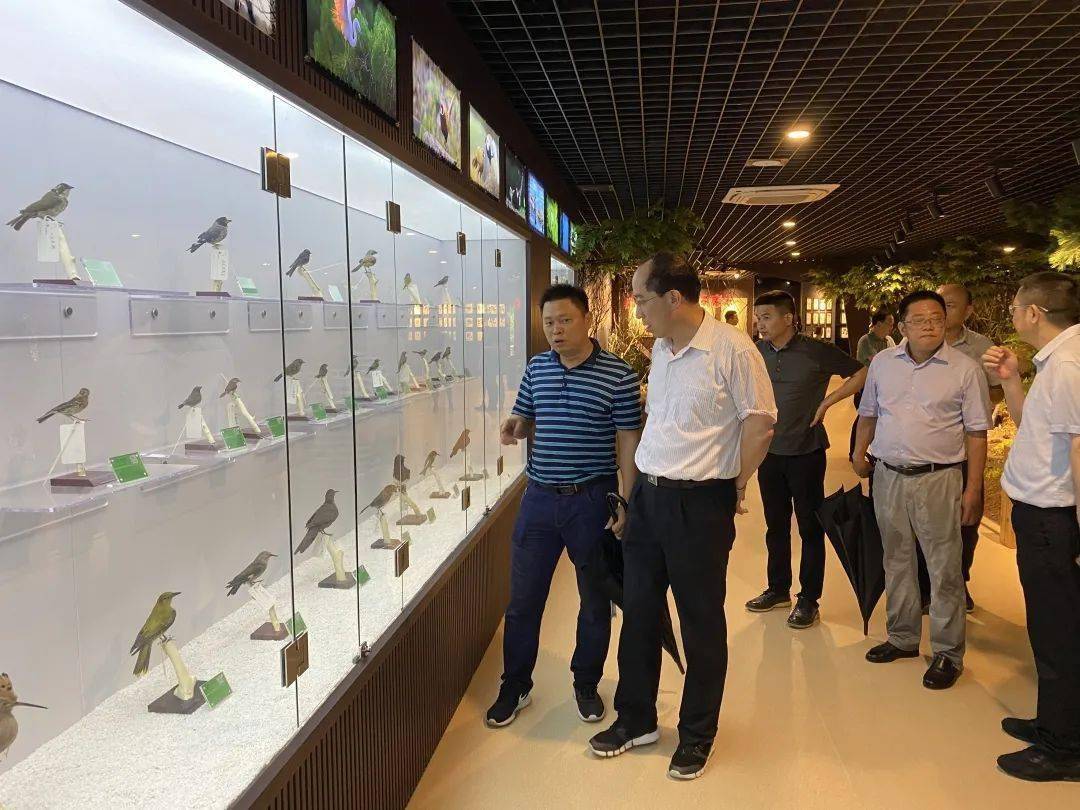 蚌埠市干部最新任免，与自然之约的心灵远游