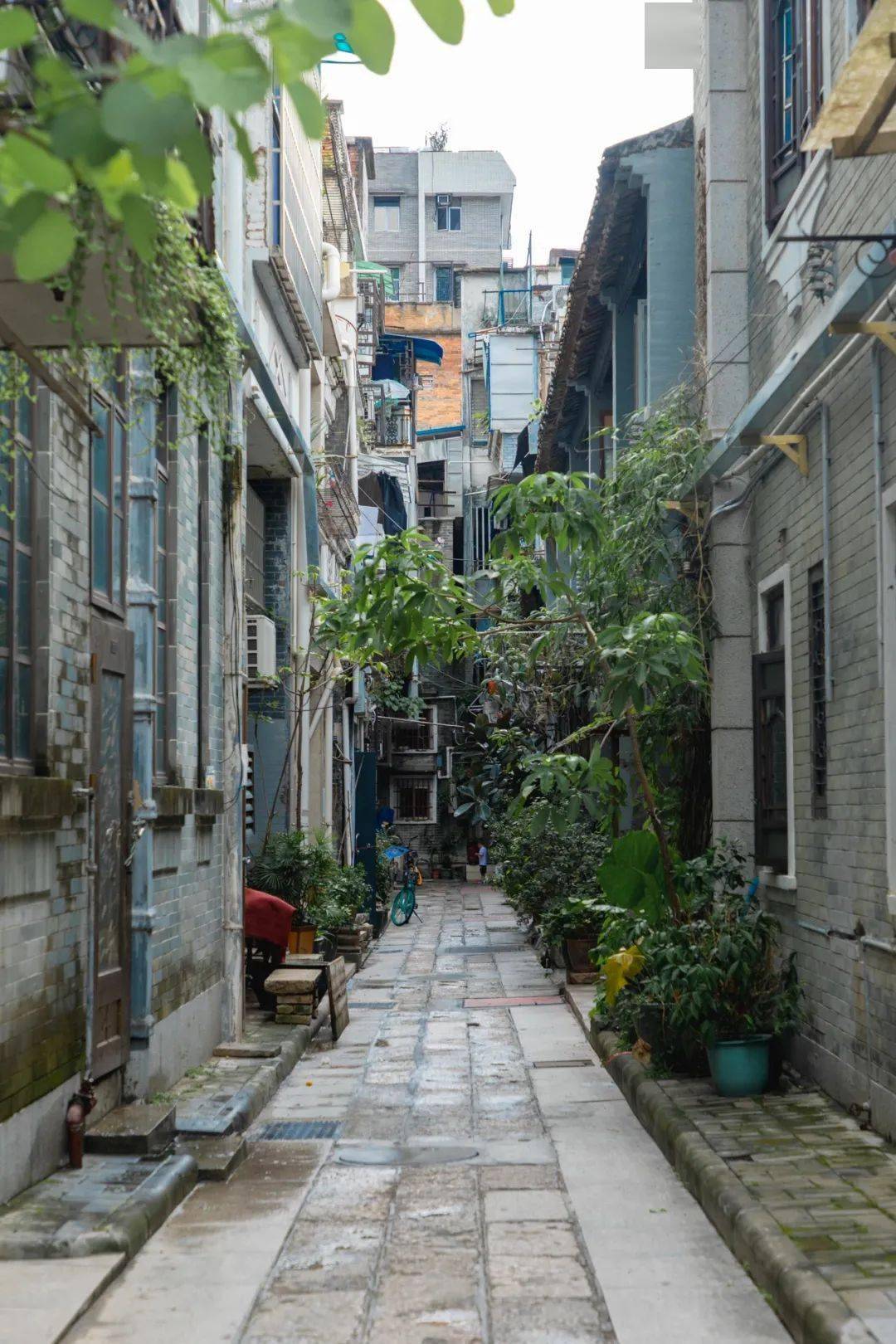 东阳光科最新动态,小巷特色小店成隐藏宝藏的独特魅力