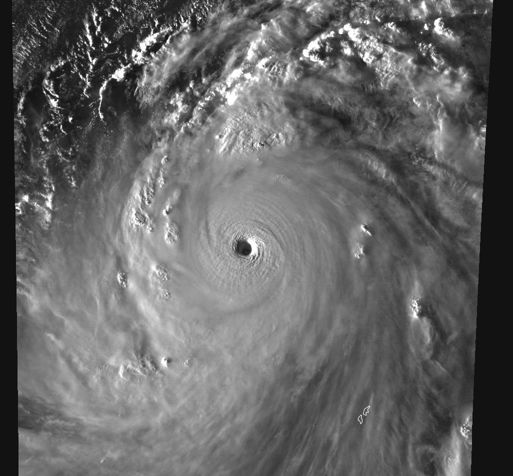 玛娃最新消息路径掌握,实时更新!