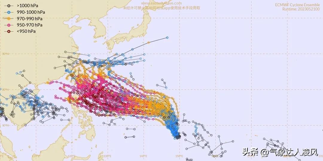 玛娃最新消息路径掌握,实时更新!