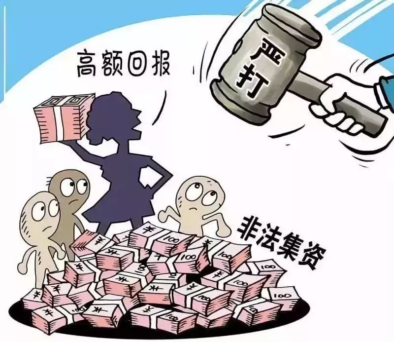 南阳非法集资最新动态,一种观点下的分析与影响