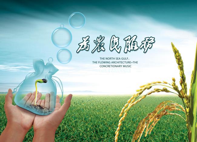 玉米补贴政策最新动态，启程探索自然美景与内心宁静之旅