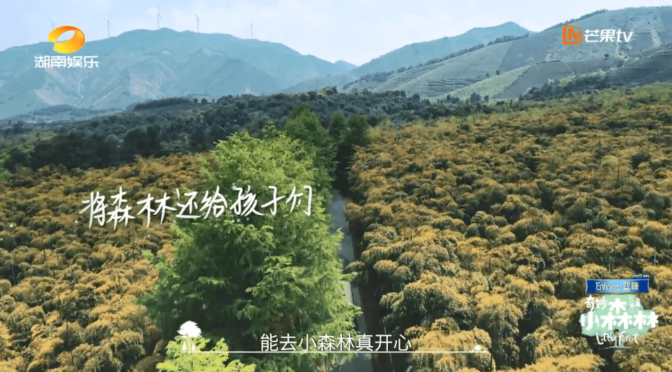 等着你最新一期,等着你最新一期——小城的日常趣事与友情的温暖纽带
