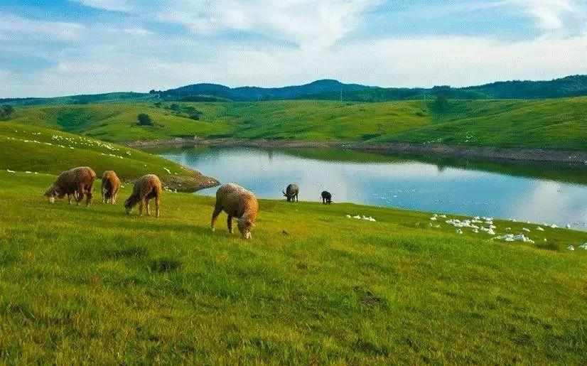 滁州明湖最新进展更新，项目进展顺利