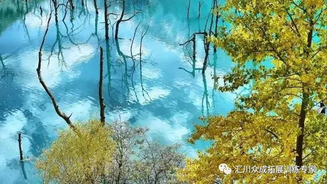 左岸春风最新一期深度解读,观点与影响探讨