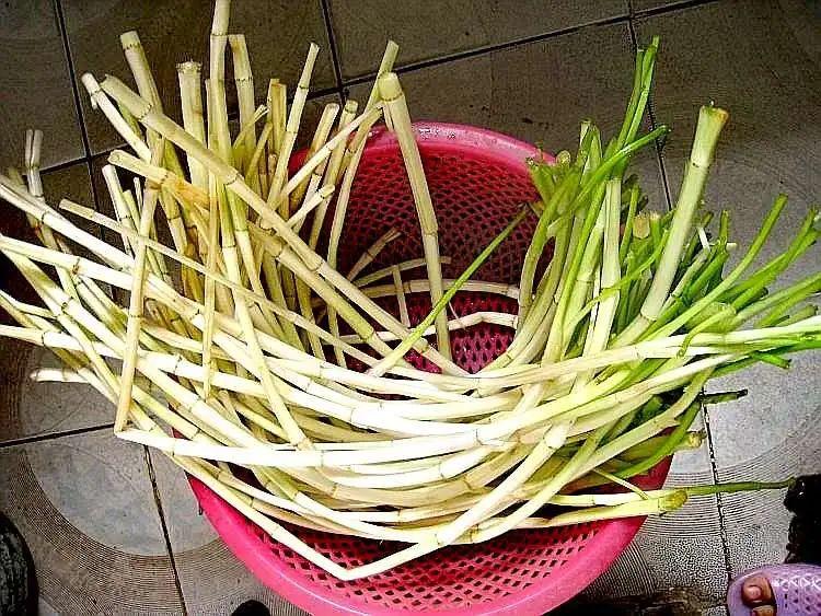 江阴最新交通事故背后的故事与美食奇遇揭秘
