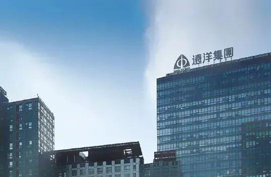 远洋恒利最新动态与温馨日常故事回顾