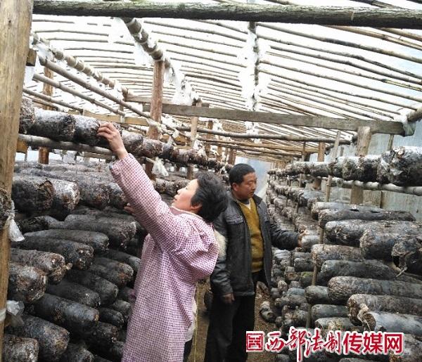 商郧路最新消息详解,步骤指南与更新动态