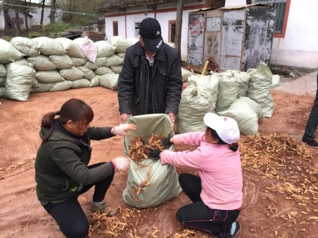商郧路最新消息详解,步骤指南与更新动态