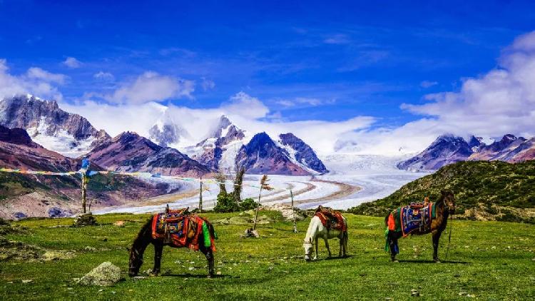 殷保华新浪博客更新,探索自然美景之旅,寻找内心平和的旅程