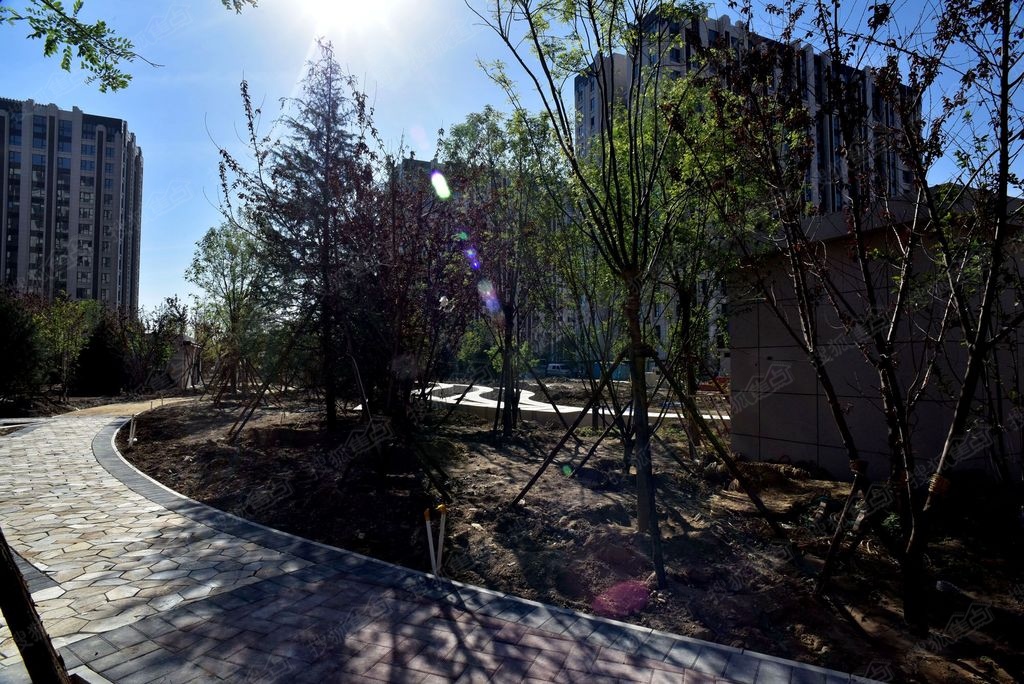 尚品台湖最新房价动态及未来发展趋势与投资价值的探寻