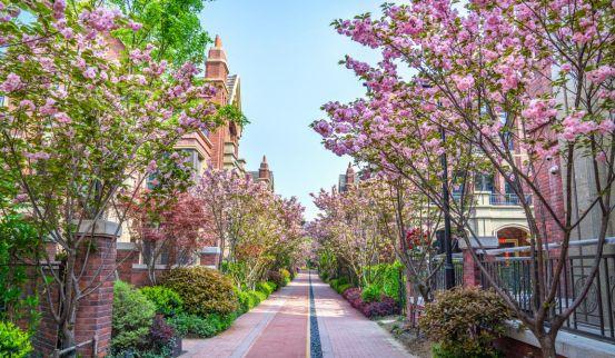 武汉滨湖街最新动态,温馨日常的点滴记录