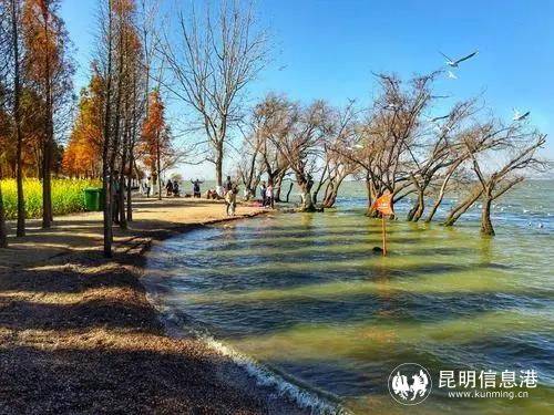朱梅华与自然美景的邂逅，寻找内心平和的旅程最新消息