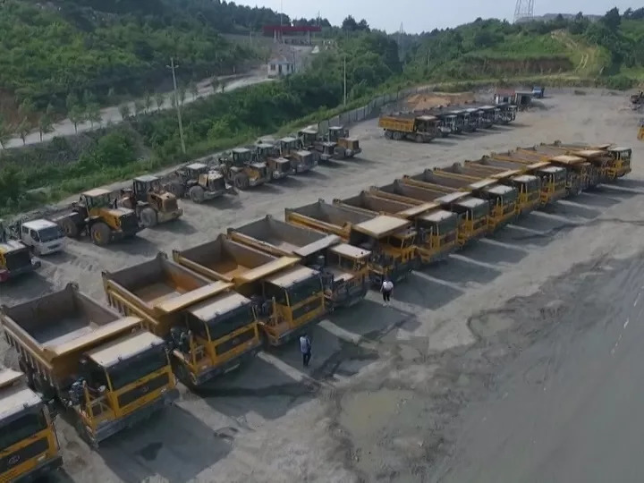 林区改革最新动态,巷弄深处的绿色变革与隐藏瑰宝揭秘