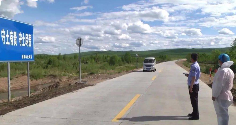 林区改革最新动态,巷弄深处的绿色变革与隐藏瑰宝揭秘