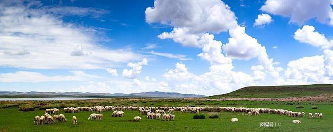 🌟外省来内蒙古的最新规定解析🌟