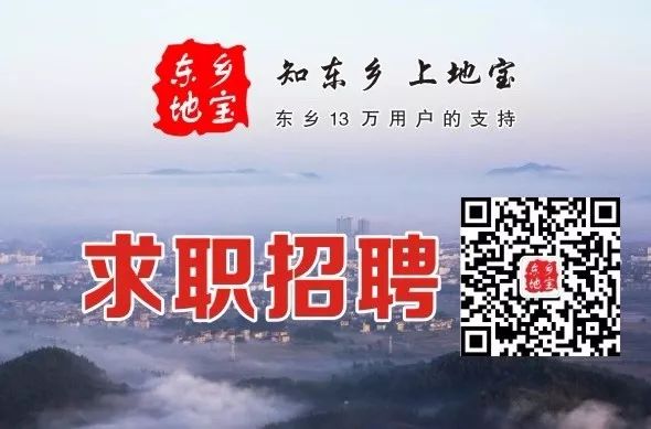 江西东乡最新招聘信息多维度解析，影响及观点阐述