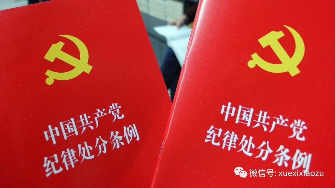 公务员处分条例最新版深度解读，小巷特色小店背后的法规探秘